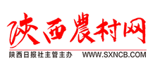 陕西农村网