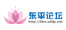 东平论坛