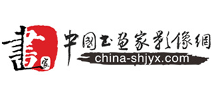 中国书画家影像网