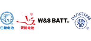 上海白象天鹅电池有限公司
