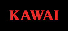 KAWA中文网