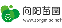 南京向阳苗圃