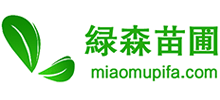 博野县绿森苗圃场